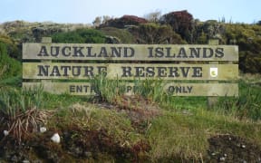 Auckland Islands.