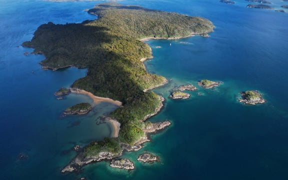 Ulva Island/Te Wharawhara, near Stewart Island/Rakiura.