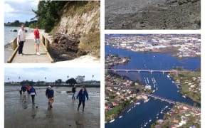 Scenes from Tamaki Estuary