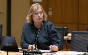National MP Dr Tracey McLellan sitting in Select Committee.