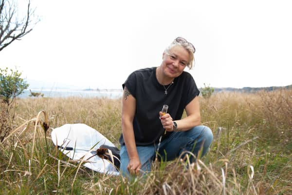 Dr Julia Kasper, Lead Curator Invertebrates, Museum of NZ Te Papa Tongarewa.