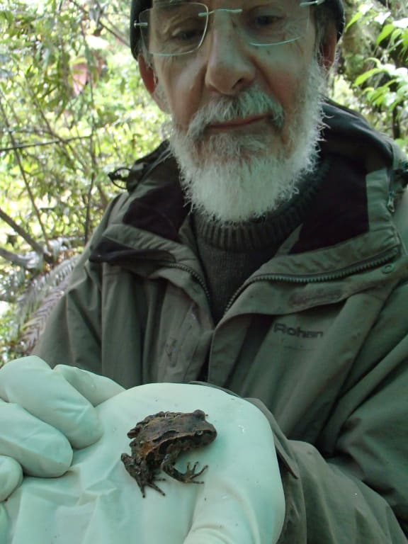 man with small frog on a gloved hand