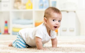 Crawling baby at home.