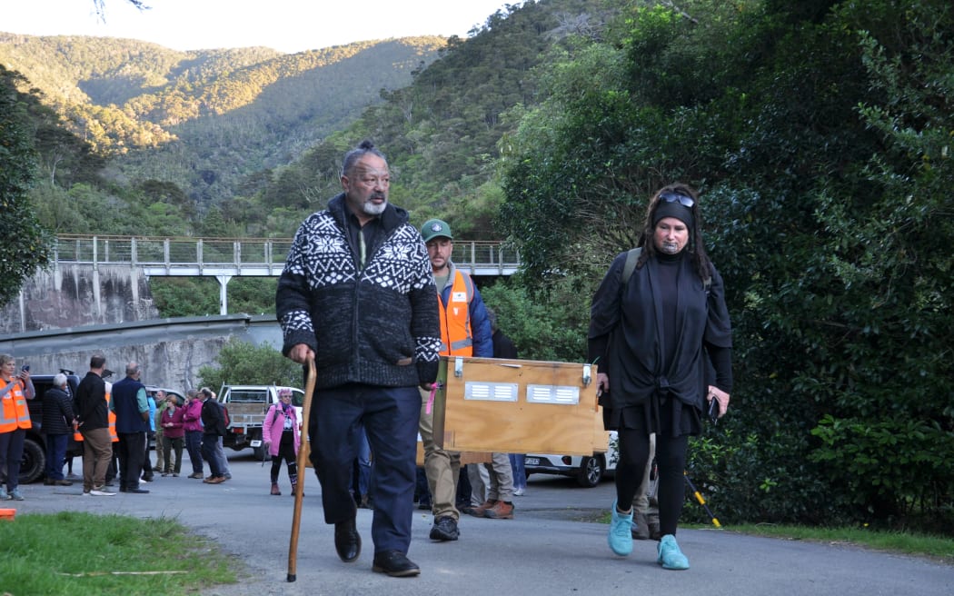 Members of_Ngati_Toa carrying kiwi