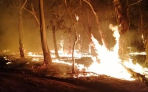 Australia bush fire.