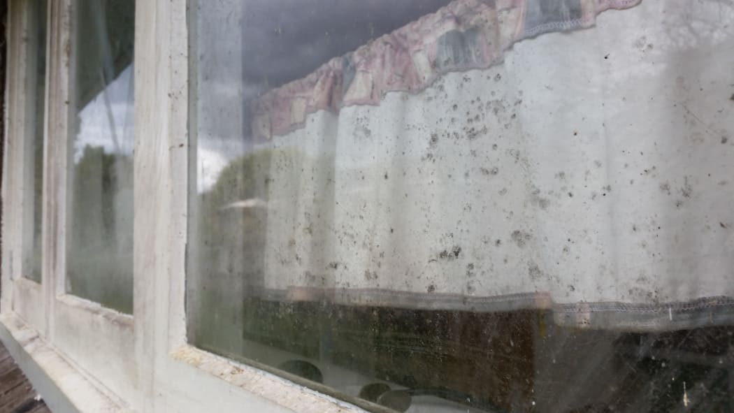 Black mould growing on the windows of the second house.