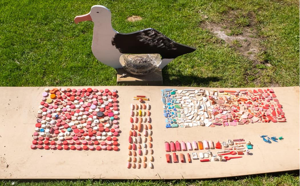 Plastic found by Edin Whitehead in and around Northern Royal Albatross nests on the Sisters Islands.