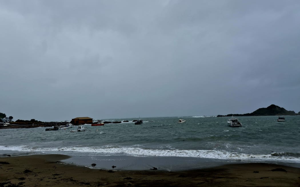 Wellington's south coast (Island Bay & Owhiro Bay)