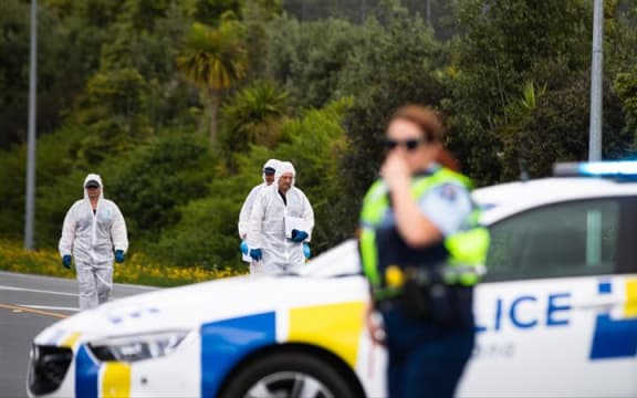 Police investigating after shots were fired at a patrol car in Whangārei.
