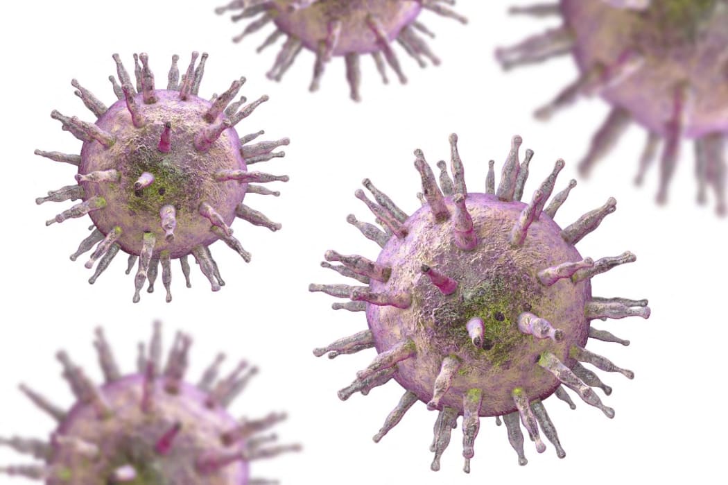 Illustration of the Epstein-Barr virus