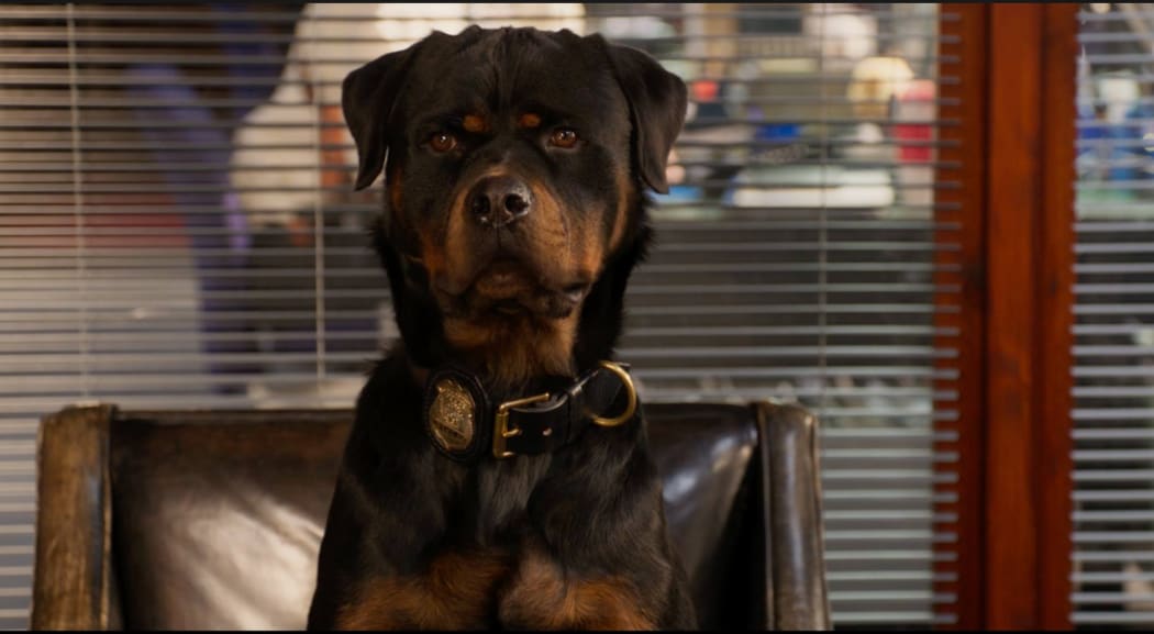The scene being questioned involves lead character, police dog Max.