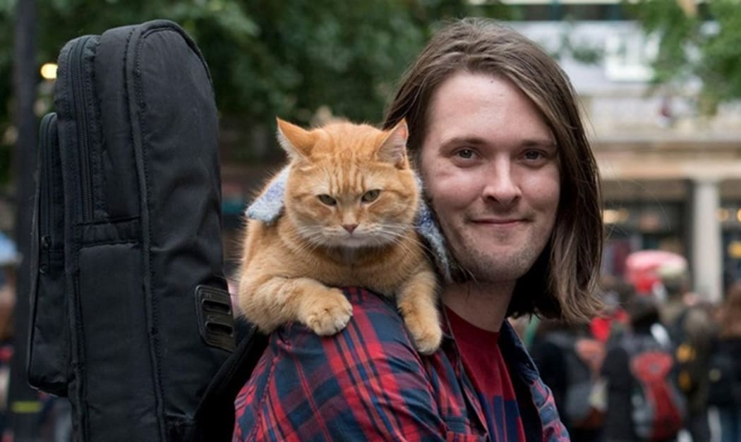 Still from A Street Cat Named Bob