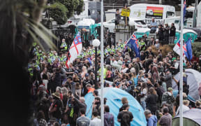 Covid Convoy protest day three at Parliament grounds.
