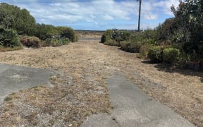 World's Ugliest Lawn 2024.