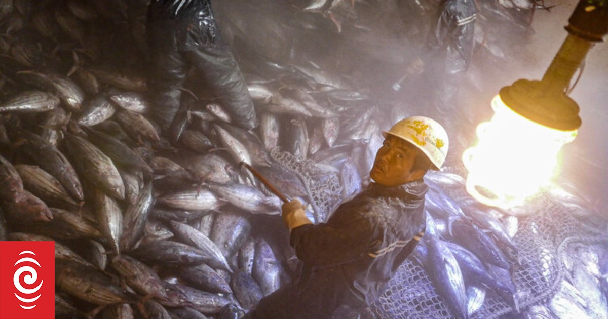Pacific Islands take steps towards fairer and sustainable fishing with NZ help