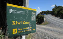 Motorcyclist dies after colliding with truck in Invercargill | RNZ