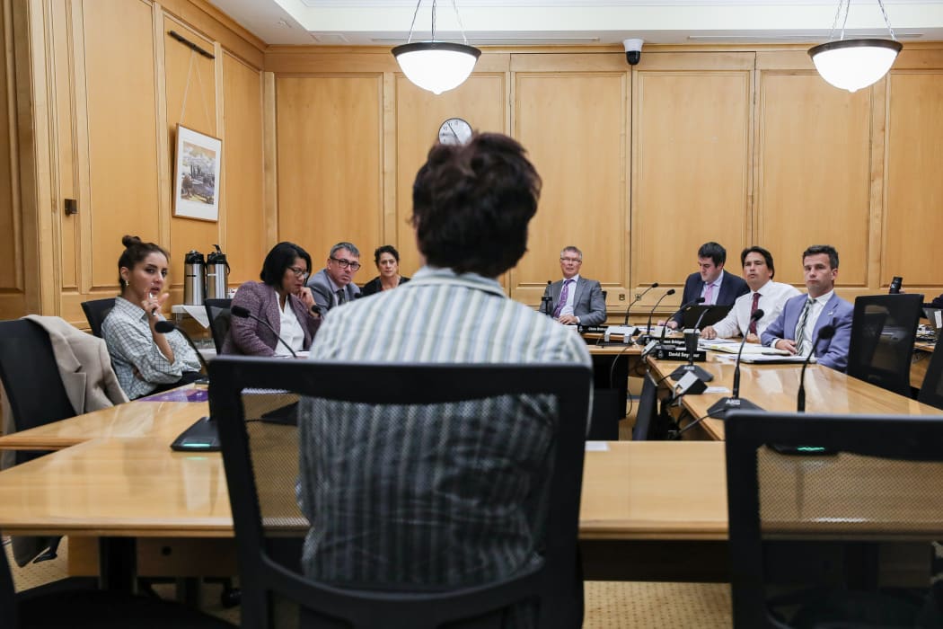 Professor Claudia Geiringer giving evidence to the Privileges Committee