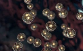 Transparent cells in the blood, 3d rendering.
