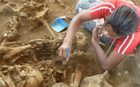 Archaeological site in Vanuatu.