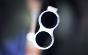 shotgun