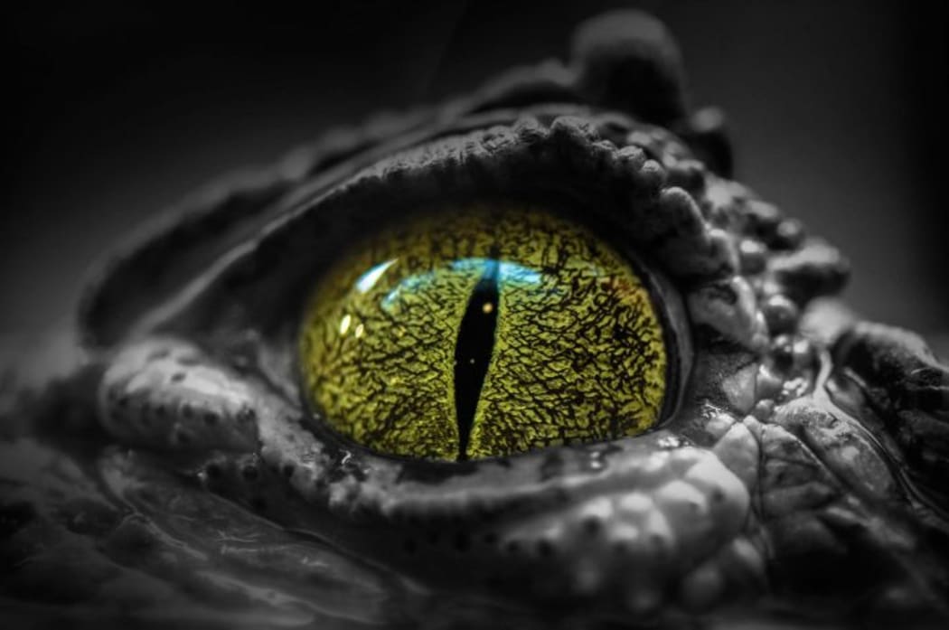 One Eye Open