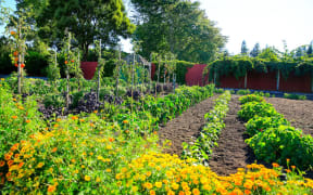 Raised vegetable beds in Kitchen garden, Hamilton gardens, New Zealand