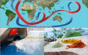 Ocean currents, car exhaust, spices