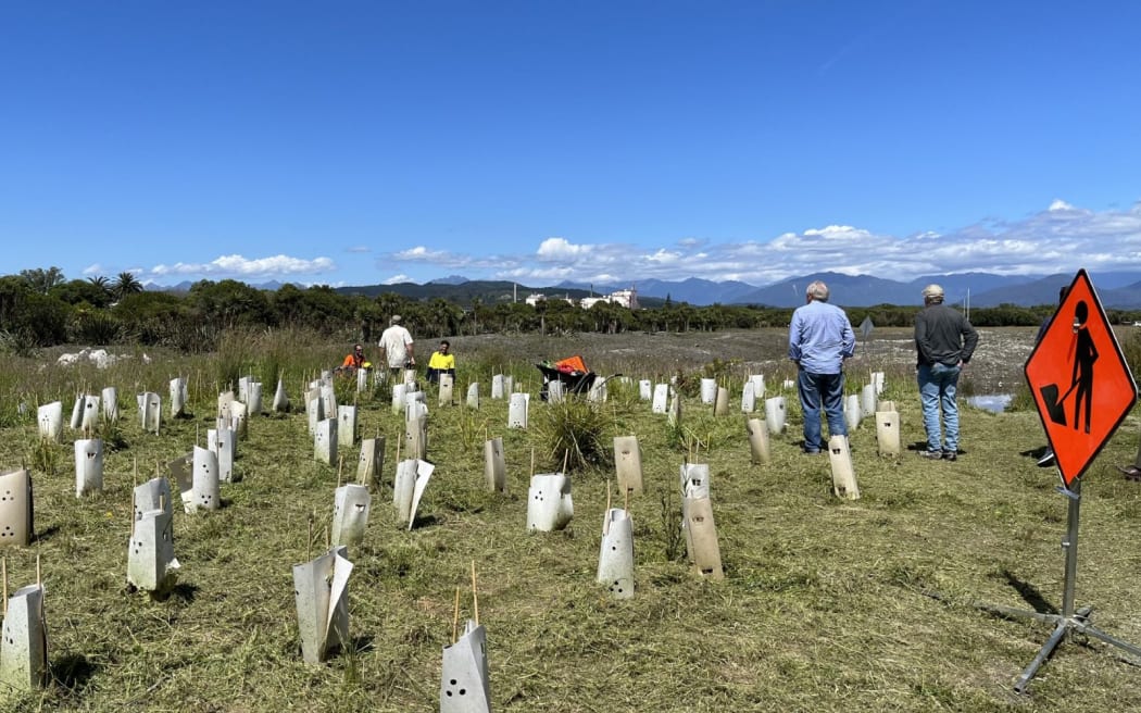 A wide view of the new spawning channels, designed to slow down flow and enhance water levels which with appropriate shore vegetation will enable whitebait spawn to attach and grow along the water's edge.