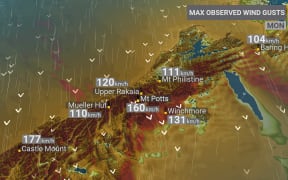 NIWA's wind map on 18 July, 2022.