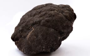 Polymetallic nodules  Pacific ocean