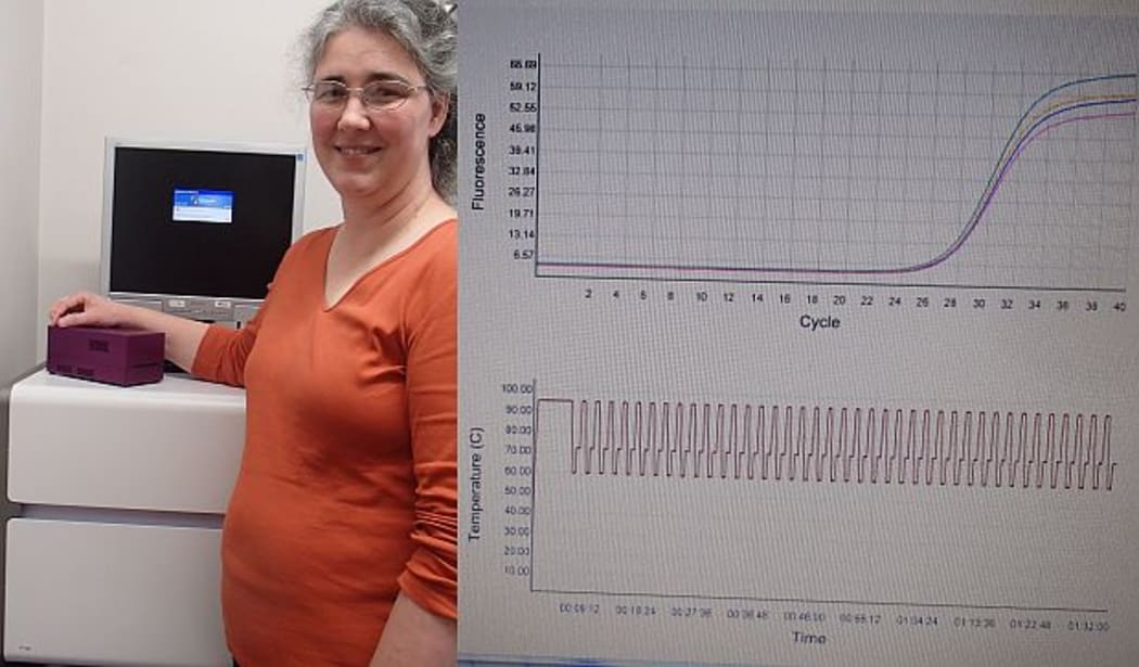 Jo-Ann Stanton holds the Freedom4 mobile PCR device, which sits on top of a standard lab-based PCR machine (left), and a typical output showing the temperature cycles (bottom) and the fluoresence curve which relates to the amount of DNA in the sample.