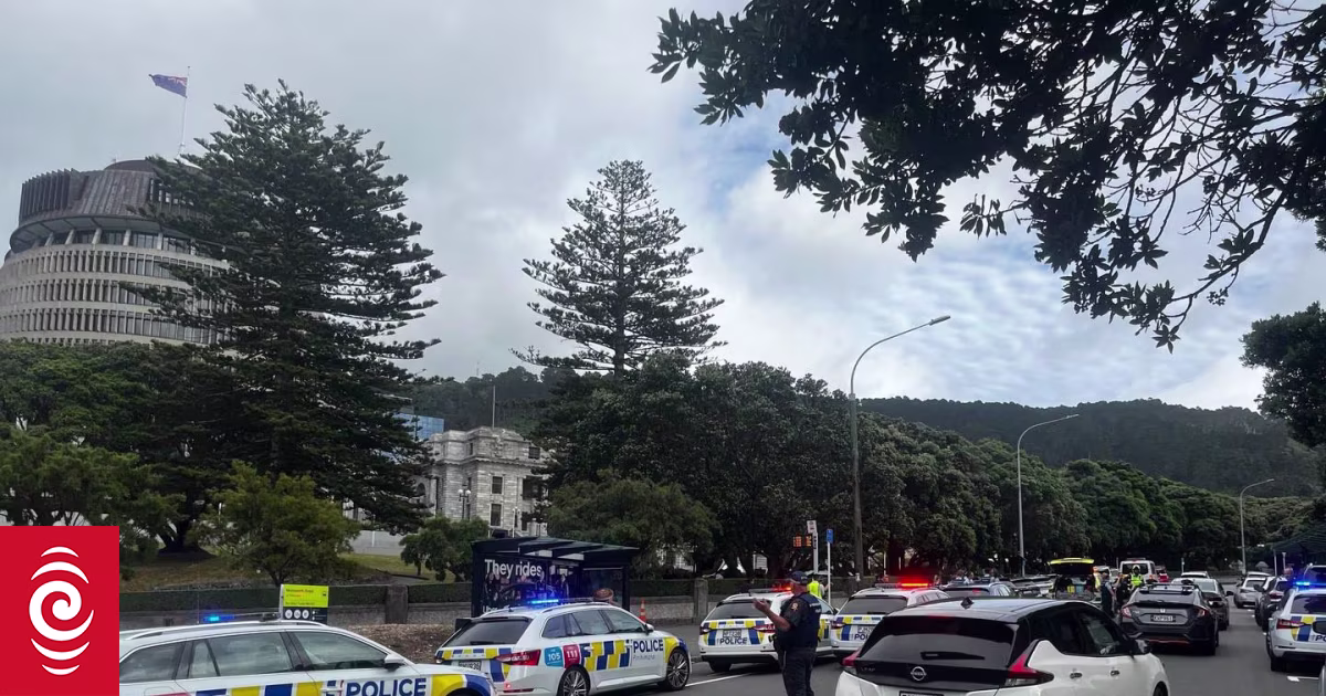 Wellington High Court: Brawl erupts in public gallery at murder accused's hearing, large police presence outside Parliament - Vimarsana News