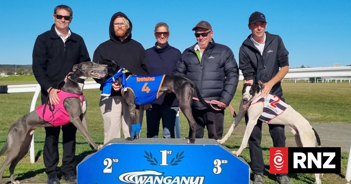 Five people and three dogs stand on a podium outdoors.