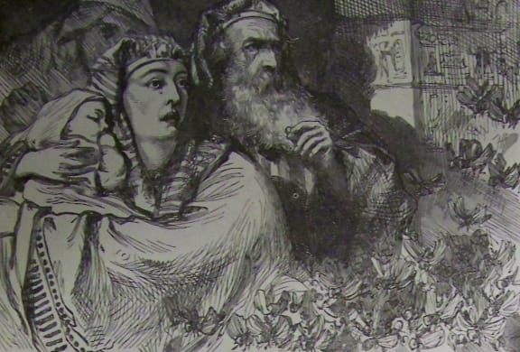 The Plague of Locusts