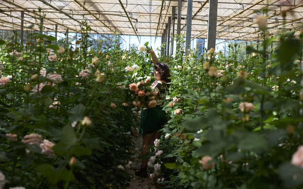 Melanie stands amongst a lush garden of roses