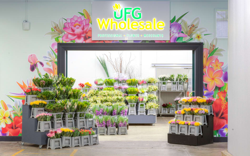 United Flower Growers (UFG) represents about 150 growers and sells to 300 buyers at auction.