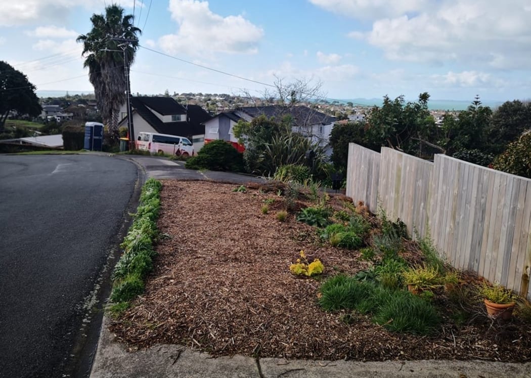 Louise Burnie's berm was planted with wildflowers and fruit trees, but has had to be pulled up after a warning from Auckland Transport.