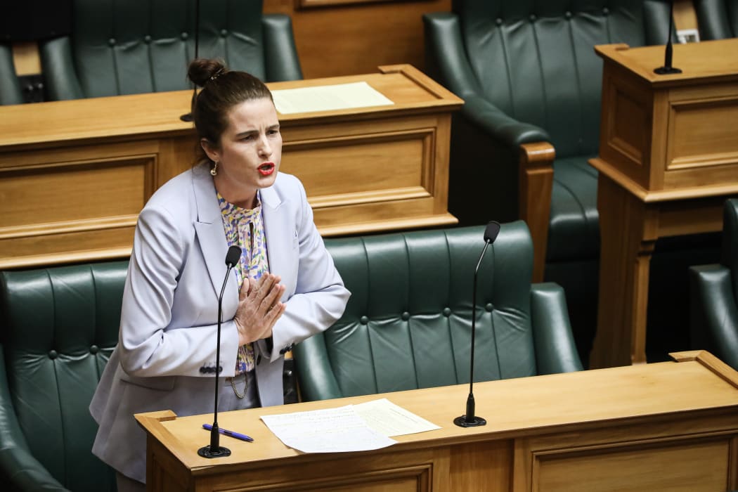 National Party MP Nicola Willis in the General Debate