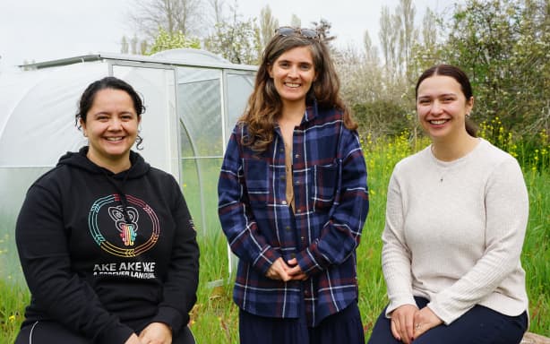 Country Life: Indigenous knowledge fuels 'food forest' trial | RNZ