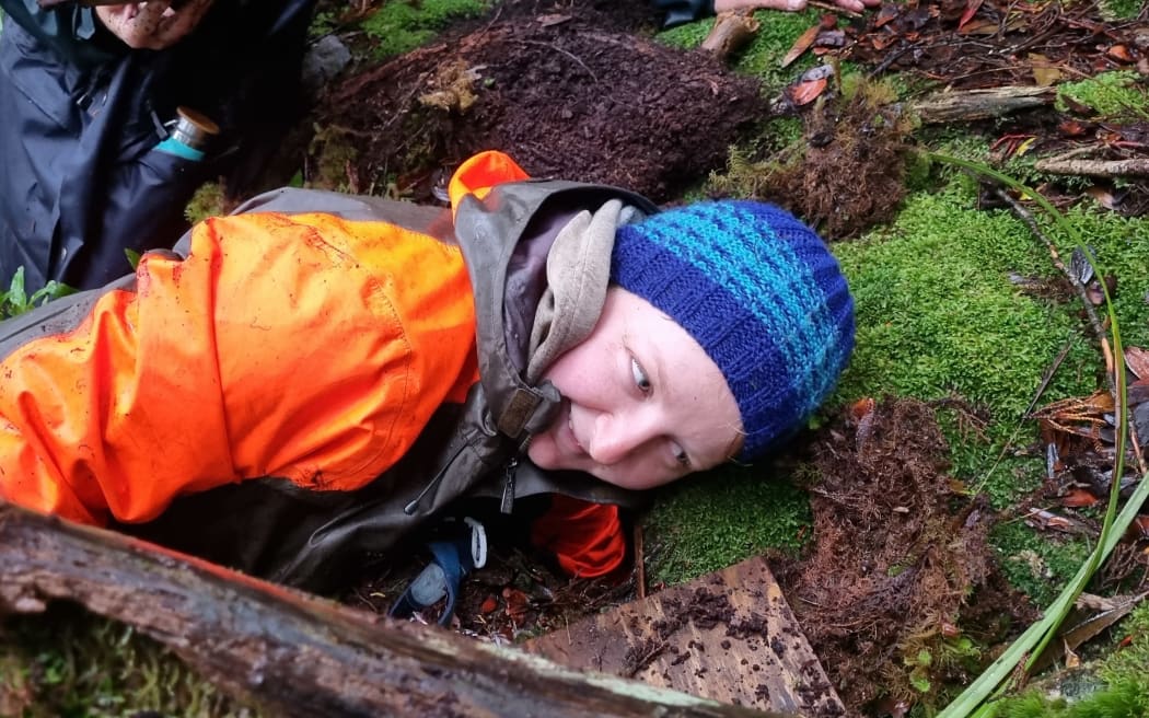 DOC worker Ayla Wiles, wearing an orange jacket and blue striped beanie, reaches into a petrel burrow.