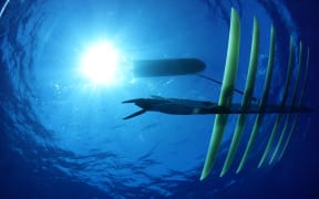 The solar and wave powered "Wave Glider" from US developer Liquid Robotics.