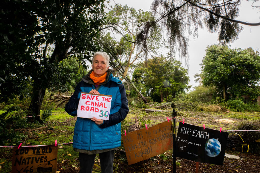 Janet Chaman protesting against the felling of native trees at Avondale.
