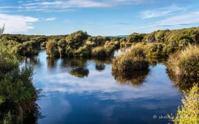 Waituna Lagoon