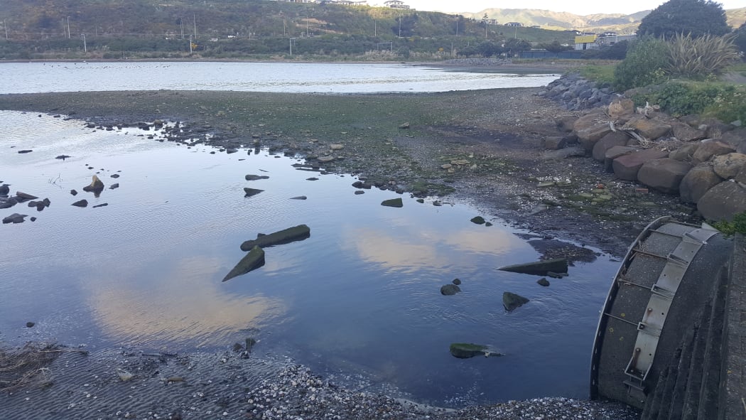 Urukahika Stream arrives in the Onepoto arm of Porirua Harbour via a pipe (right). State Highway 1 and the main trunk railway run alongside the far side of the harbour.