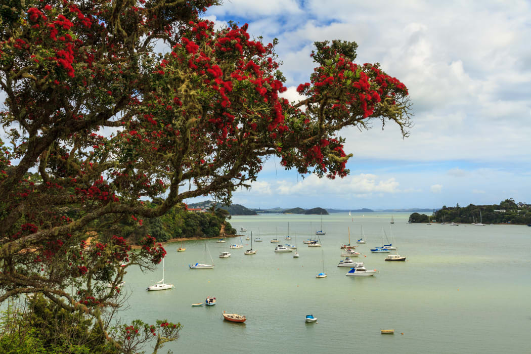 Opua, in the Bay of Islands.
