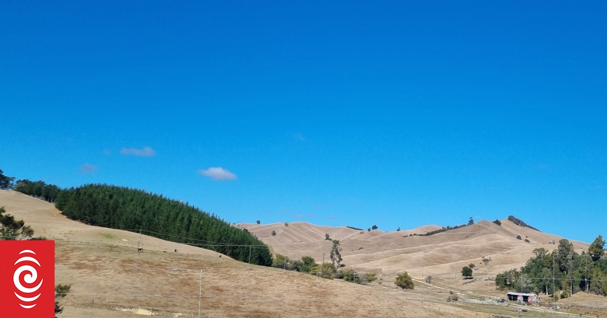 Rain set to fall on drought-hit Tasman, Marlborough, Nelson after driest summer on record - Vimarsana News