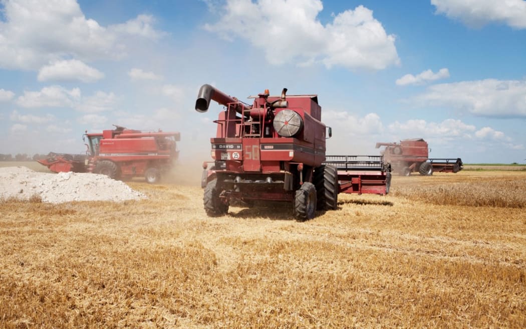 wheat harvest Ukraine