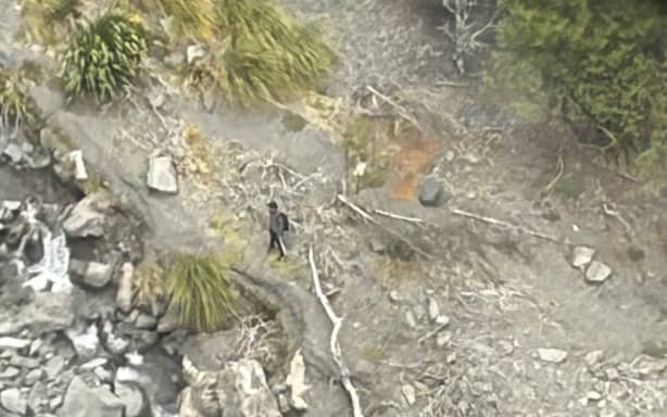 Student found in Hawke's Bay bush had separated from group and hit head ...