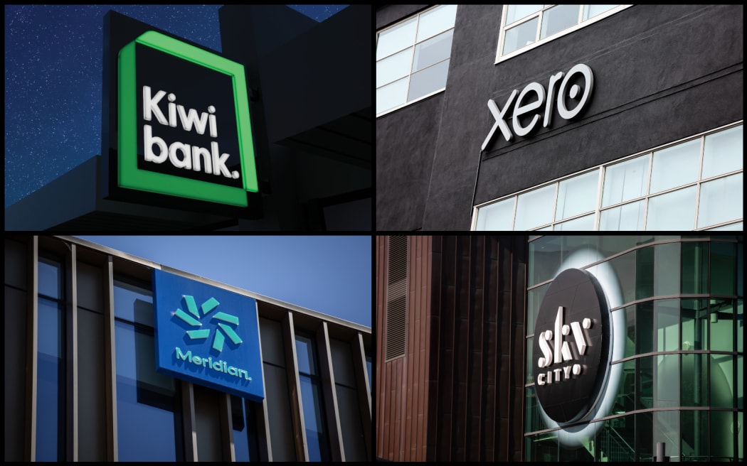Kiwibank, Xero, Sky City and Meridian are among 13 corporate businesses that have signed an open letter asking the government to require medium and large businesses to publicly report their pay gaps.