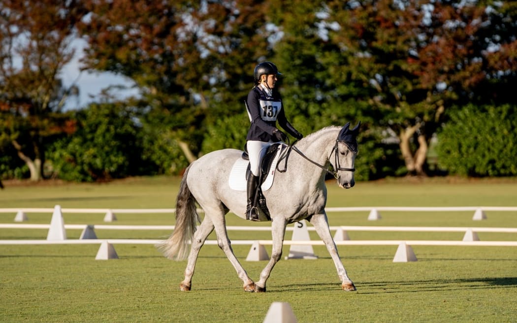 Beloved horse Scooter before he went missing.